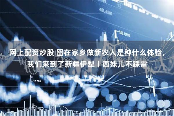 网上配资炒股 留在家乡做新农人是种什么体验，我们来到了新疆伊犁丨西妹儿不踩雷