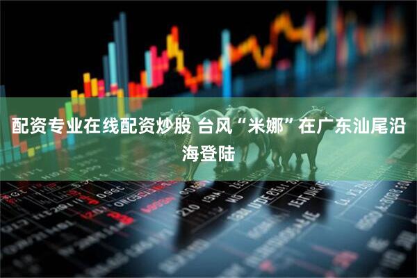 配资专业在线配资炒股 台风“米娜”在广东汕尾沿海登陆