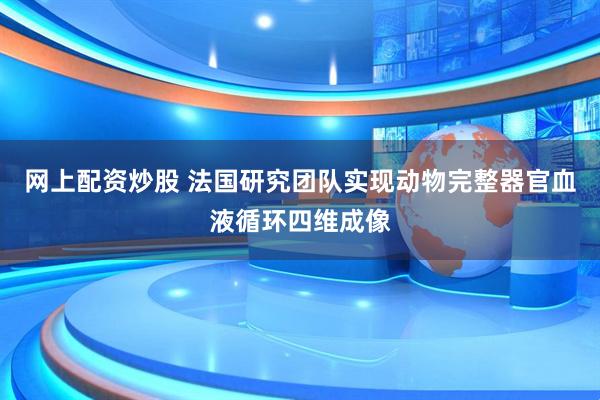 网上配资炒股 法国研究团队实现动物完整器官血液循环四维成像